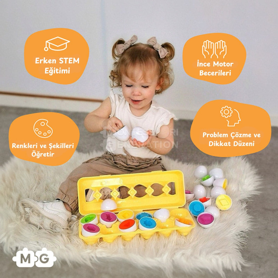 Montessori Eşleştirmeli Yumurtalar