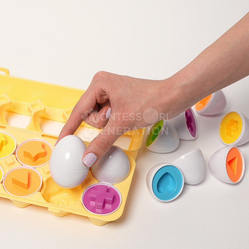 Montessori Eşleştirmeli Yumurtalar