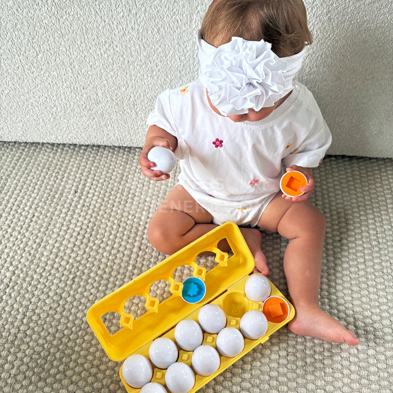 Montessori Eşleştirmeli Yumurtalar
