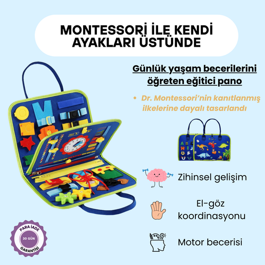 Montessori Aktivite Panosu