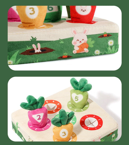 Montessori Havuç Oyuncağı