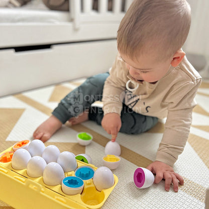 Montessori Eşleştirmeli Yumurtalar